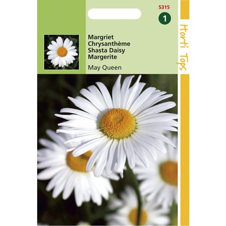 MARGRIET MAY QUEEN HORTI TOPS